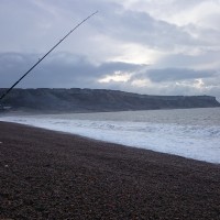 The last Cod session of winter; live updates from the beach.