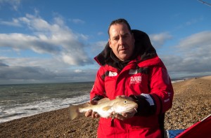 chesil fladen cod