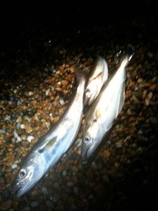 whiting milford 2