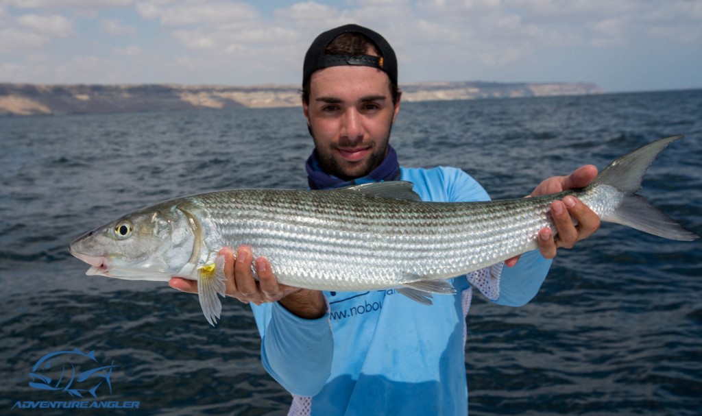 Bonefish