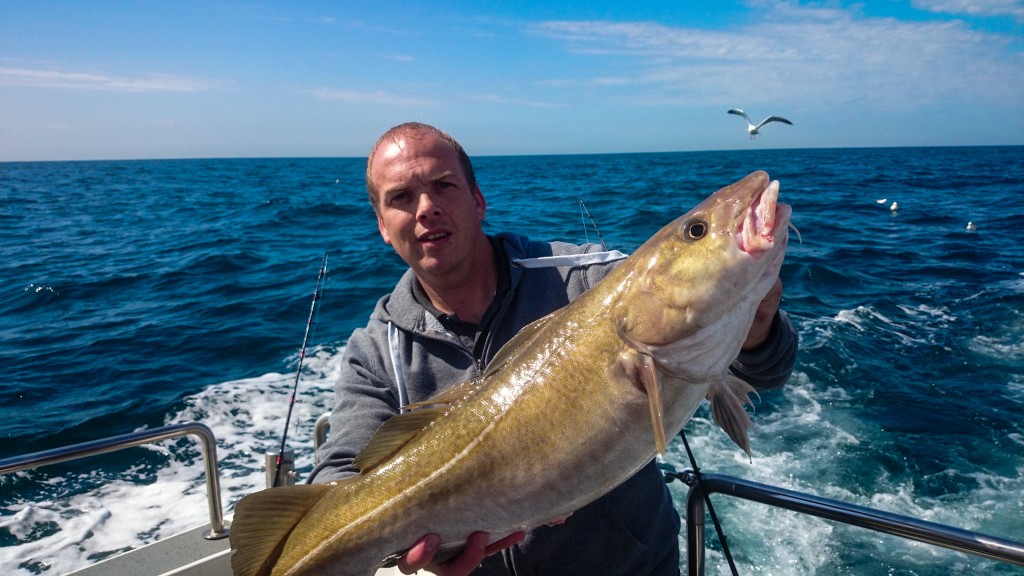 Wreck fishing from Weymouth onboard Snapper with Eddystone Eels