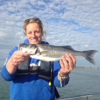 Fly and lure fishing for Bass around Hayling Island