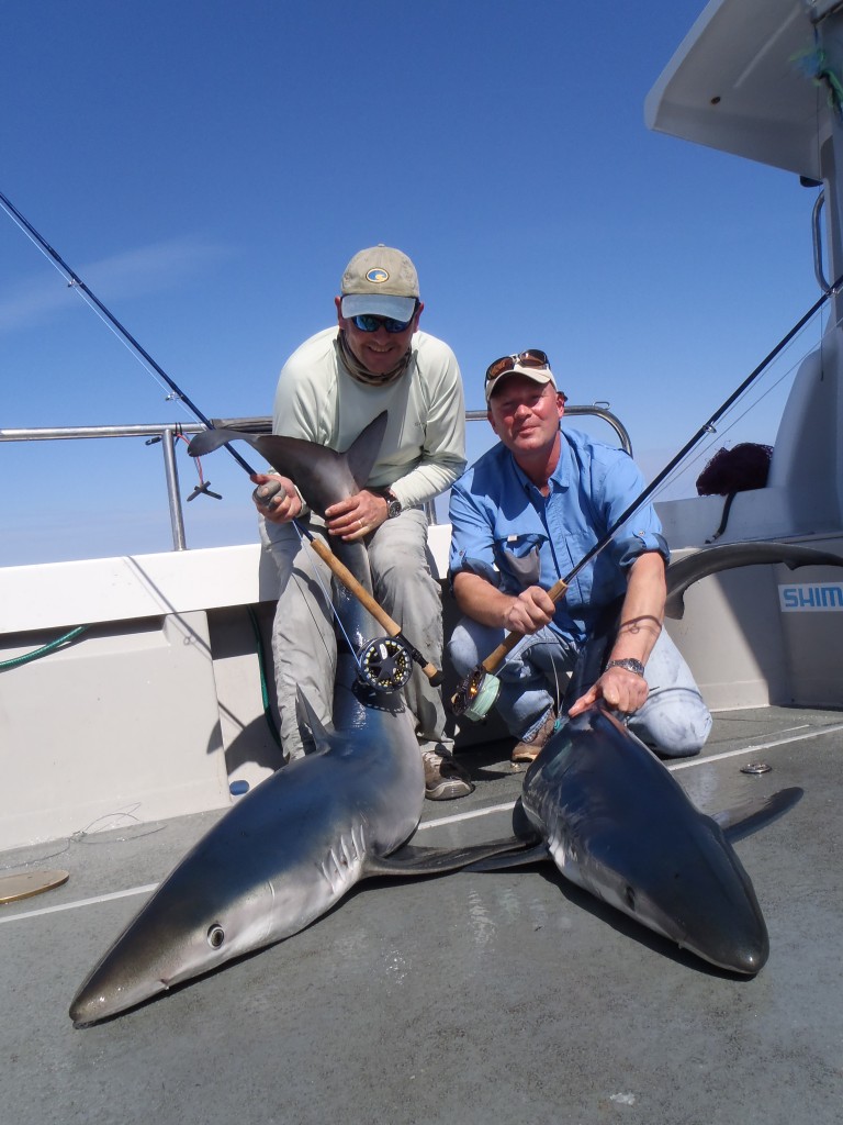 Fly Fishing for Blue Sharks On The UK Coast! Fishing Tails