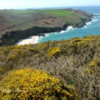 Lure Fishing in the footsteps of Poldark