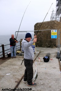 Roker Pier Mackerel Jun 20th 2015 005