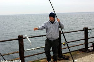 Roker Pier Mackerel Jun 20th 2015 020