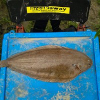 Sole fishing on the Thames