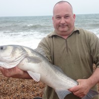 Big Bass and lots of mackerel