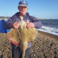 Fantastic Ray fishing on Chesil Beach