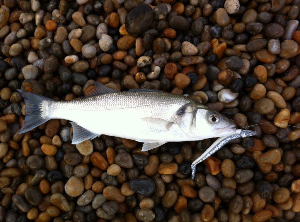 Autumn fishing