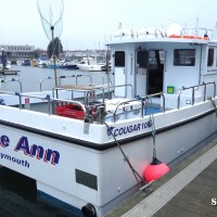 Fishing out of Weymouth on board charter boat Katie Ann with Allan Yates boat angler