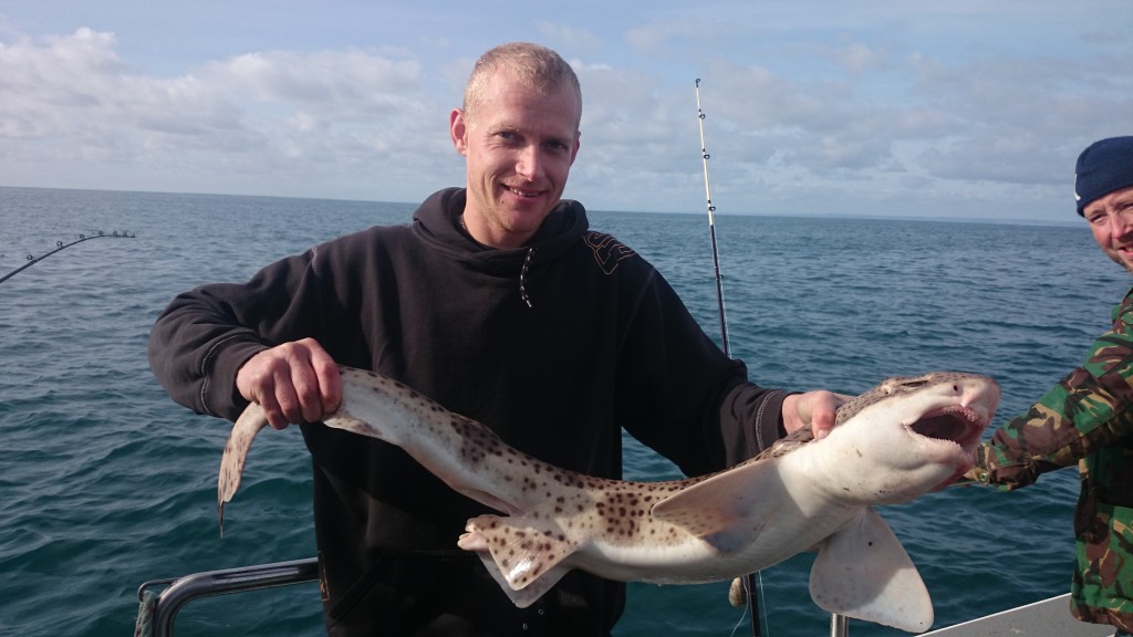 Chesil Beach Cod open results 2015