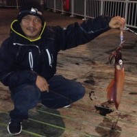 The Art of Squid Fishing (Eging)