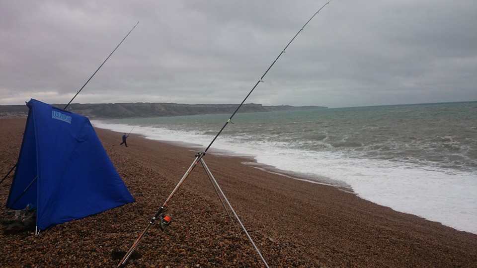 Chesil rough