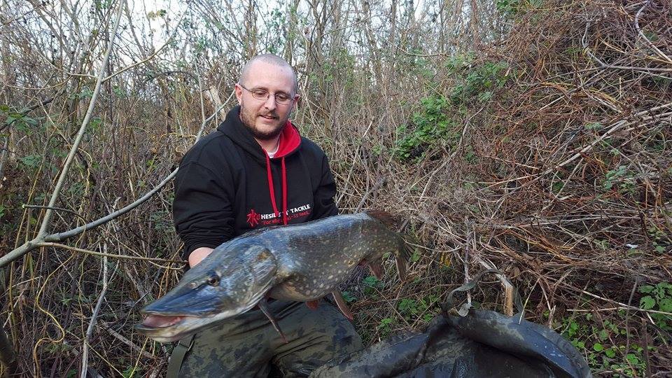 Pike 23lb Dan Hollins