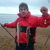 Whiting Galore