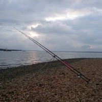 Flounder and flying gaff’s