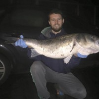 Plymouth Fishing report