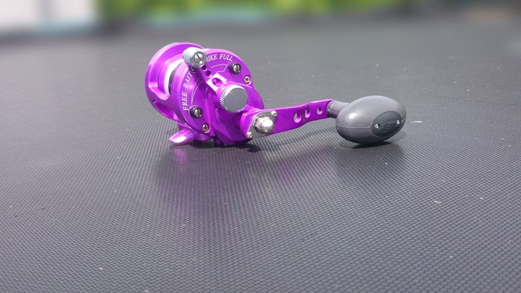 Avet SX 5.3 MC Reel review