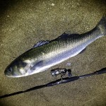 You never know when that big Bass will turn up