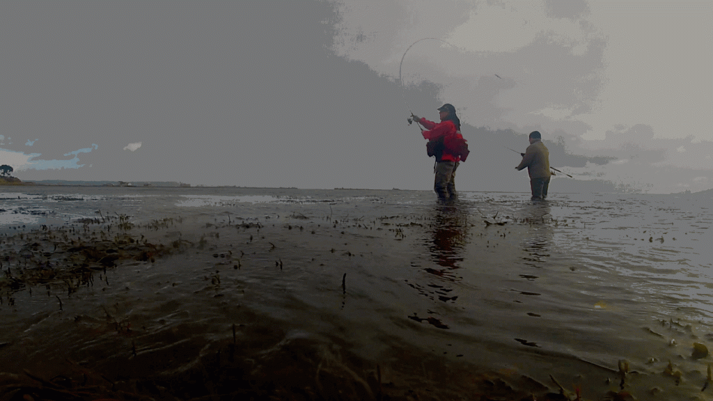 Thank goodness that Chesil is not the only place to fish