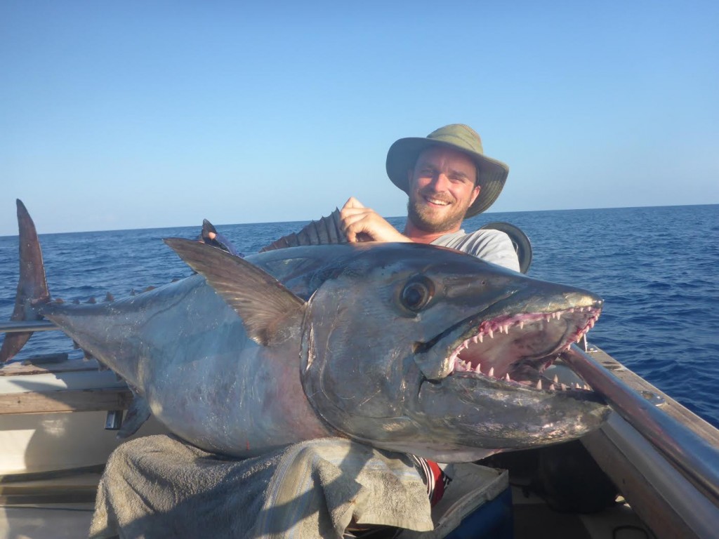 The terror of the drop-off: giant dogtooth in Tanzania