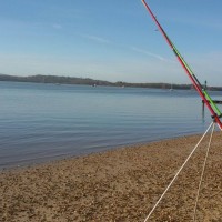 Floundering about for Bass