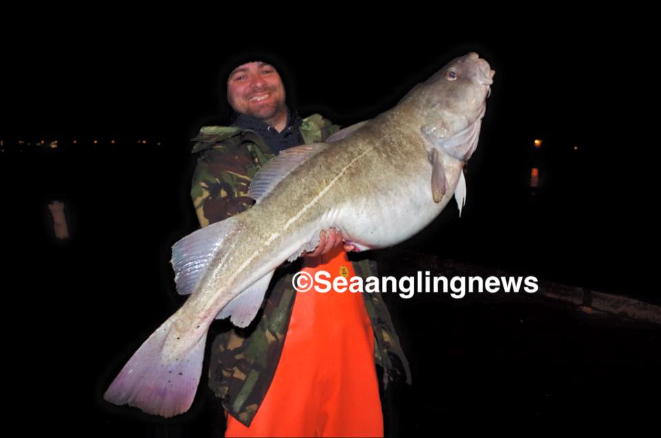 Cod from Minehead