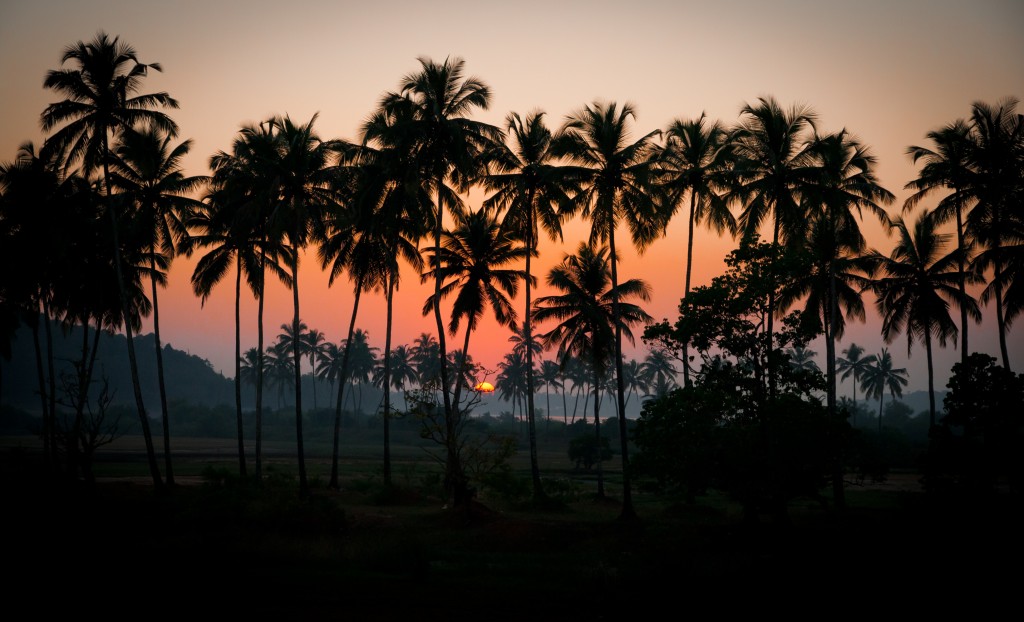 Fishing in India - Part 1