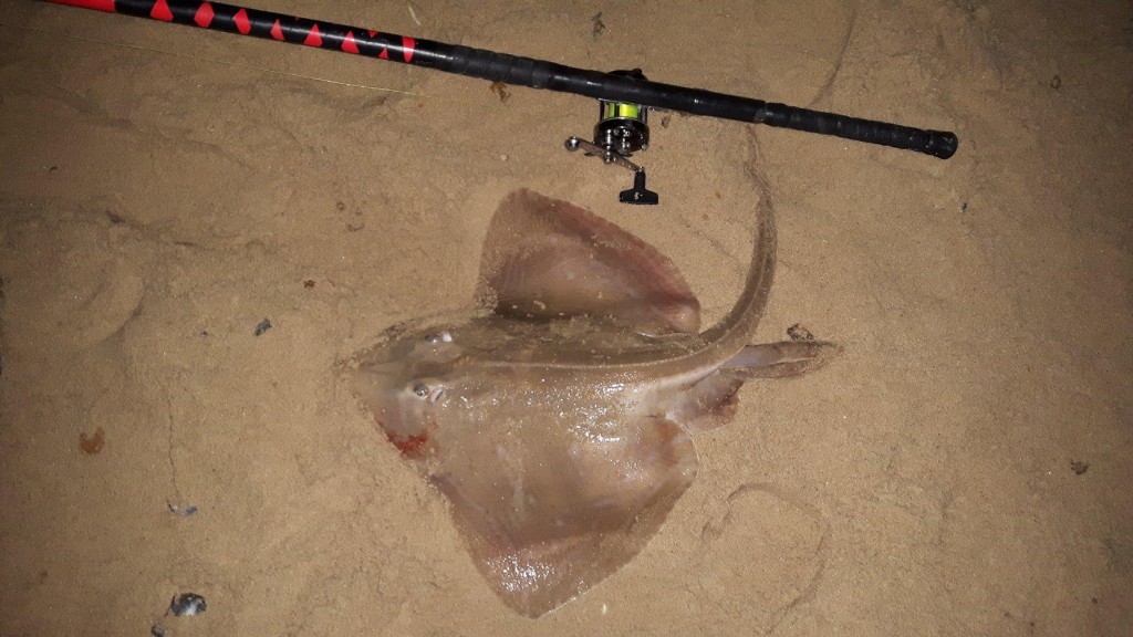 Rays from Southbourne beach