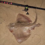 Rays from Southbourne beach