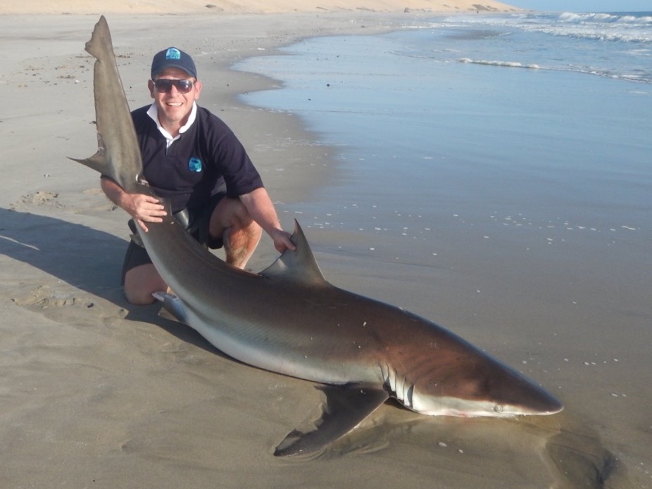 Bronze Whaler Shark fishing Namibia