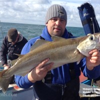 Weymouth wrecks producing good Pollock catches to lures.