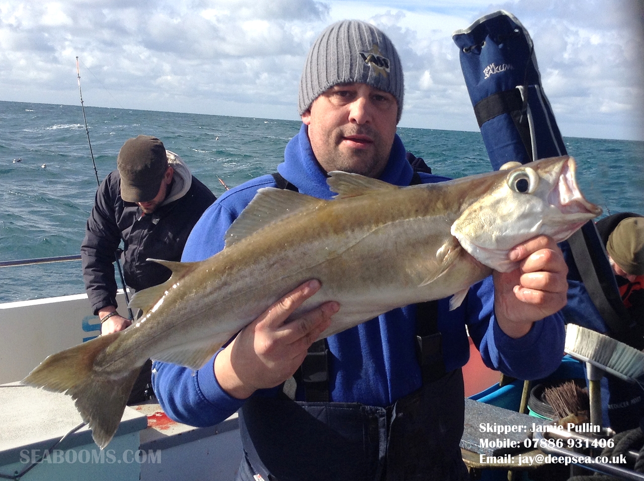 Weymouth wrecks producing good Pollock catches to lures. | | Fishing Tails