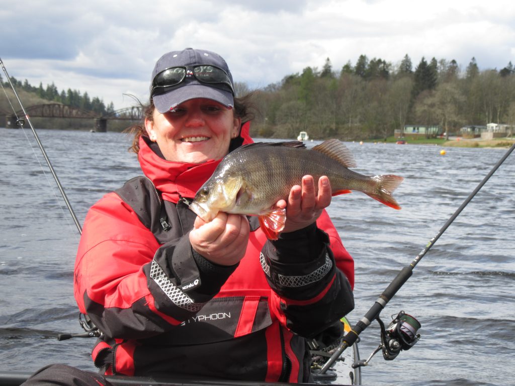 Wind, Rain and a PB Perch.