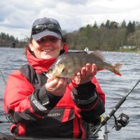 Wind, Rain and a PB Perch.