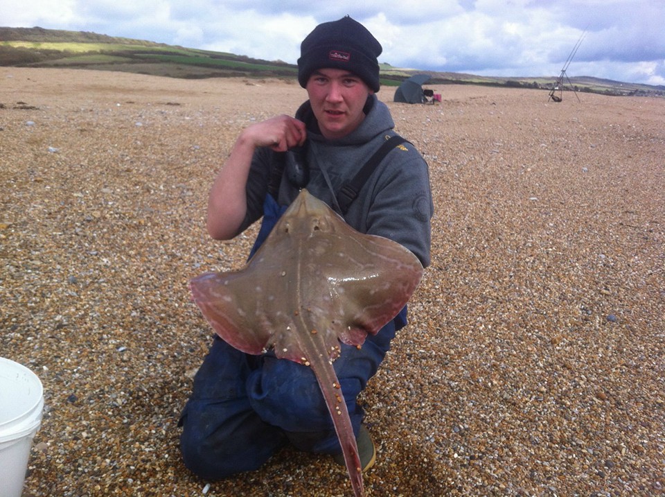 Small Eyed Ray Simon