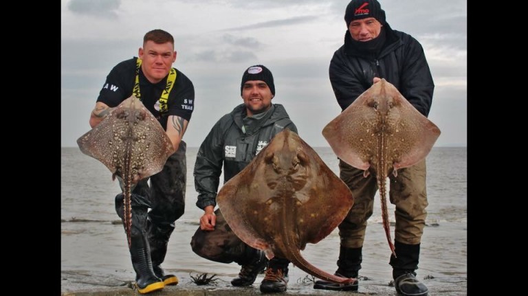 Andy Webb, Willam Ansari and Rob Yorke