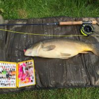 CARP – The Alternative approach.