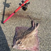 What to expect fishing the Essex coast.