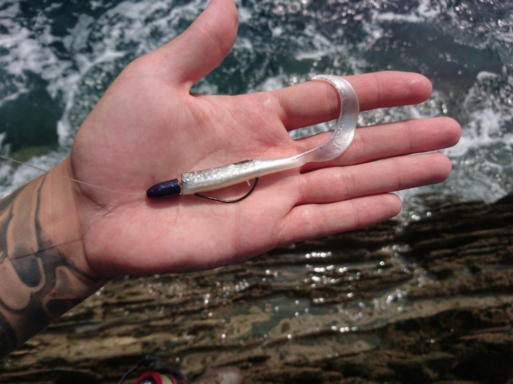 A Texas-rigged Savage Gear Sandeel with a blue cone weight. On a beautiful sunny day this lure caught me 8 fish.