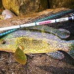 A few sessions before the rivers open