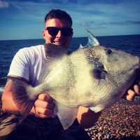 Summer Cod and trigger fish