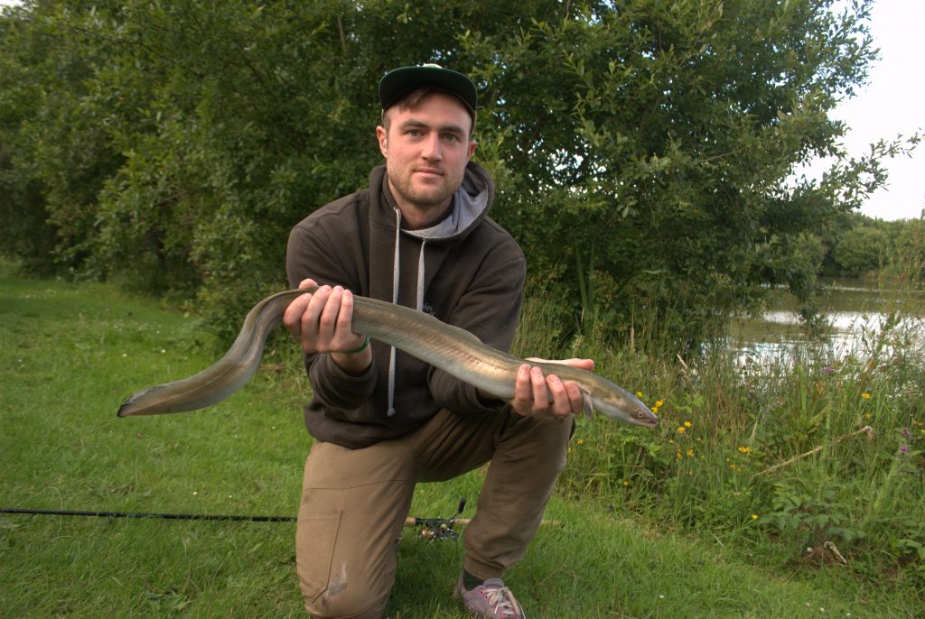 Robbie Spencer with a fine Eel of over 3lb, taken on a legered Roach deadbait.