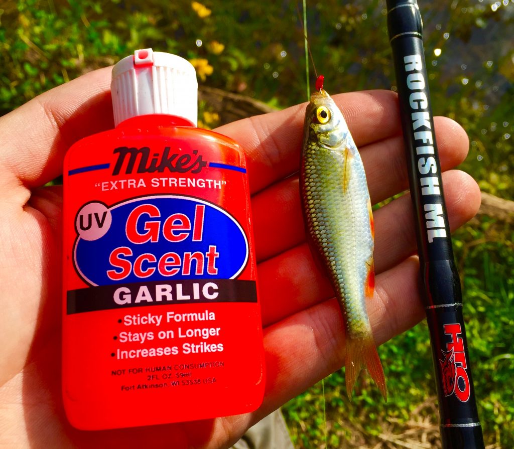 Adding a smear of Gel scent to the Lure adds that little bit of extra attraction! 