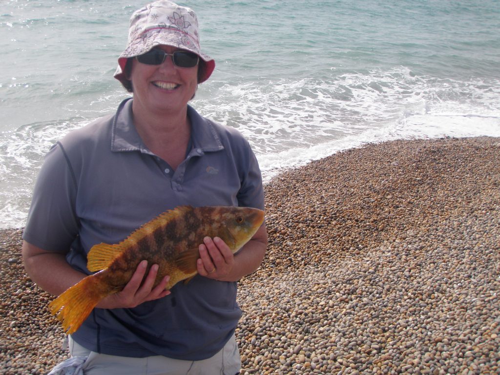 Fishing in September, the best month of the year