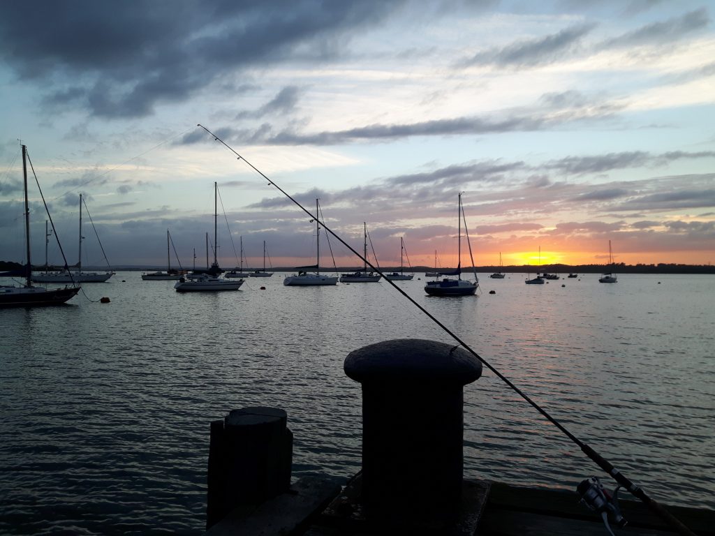 Drifting into Autumn for plaice and gilthead bream