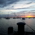 Drifting into Autumn for plaice and gilthead bream