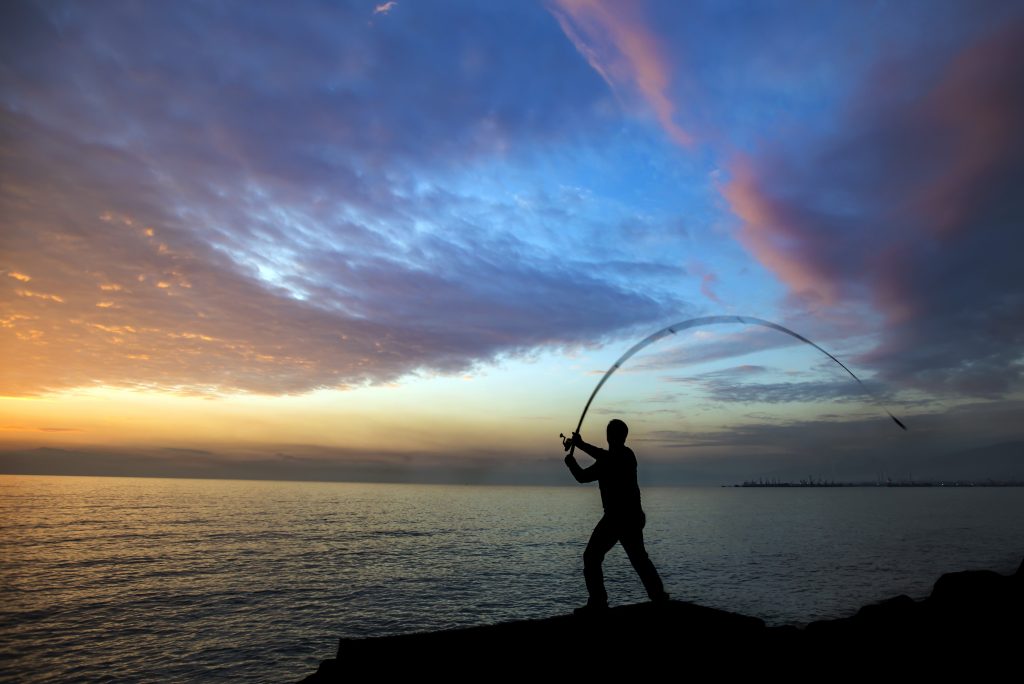 Summer fishing in Dorset