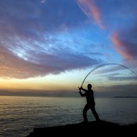 Summer fishing in Dorset